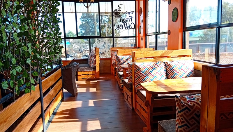 Cozy wooden seating by window